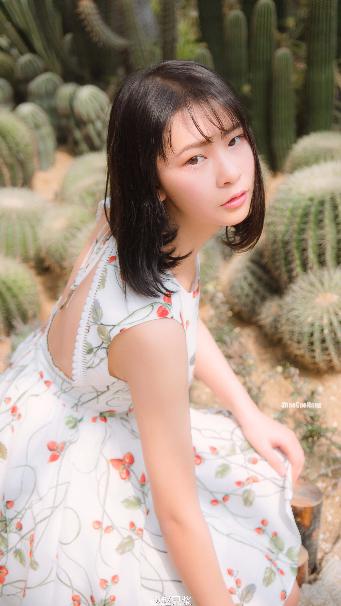 成全影视大全免费追剧大全